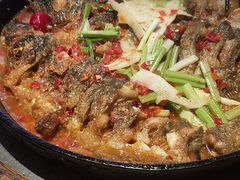 -老板恋上鱼(恒隆广场店)