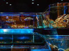 -金翠皇宫粤菜·点心·海鲜(科技园店)