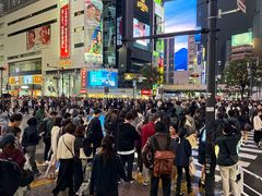 -涩谷全向十字路口