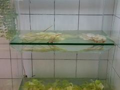 -百味源炭火烤翅 ·夜市大排档(酒仙桥店)