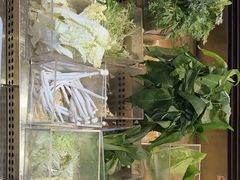 -谭三娘鲜切牛肉自助火锅(九眼桥总店)