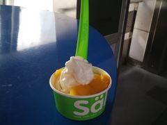 -Salud撒露欧洲冻酸奶(北苑上品店)