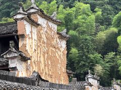 -杨家堂村