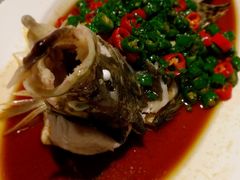 椒麻蒸桂花鱼-玫瑰厅上海菜(兴国路店)