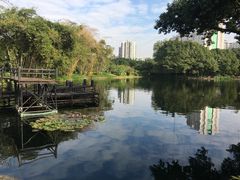 -晓港公园