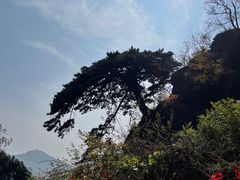 -泰山风景名胜区