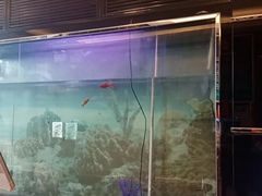 -德全心悦酒店(北京金台路地铁站店)