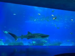-横琴湾水世界