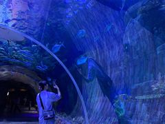 -华夏文旅海洋公园