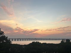 -宝安西湾红树林湿地公园