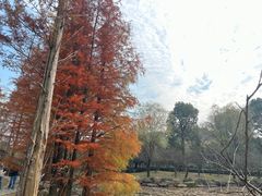 -兰亭风景区