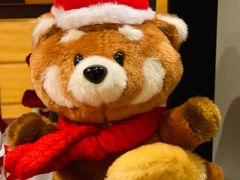 -星巴克(红房子店)