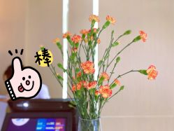 -苑苑vbeauty科技美容SPA