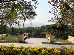 -四季酒店下午茶