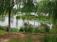 -东郊湿地公园