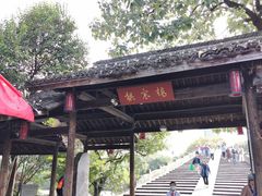 -运河游船(武林门码头)