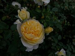 -人民公园(罗湖区)