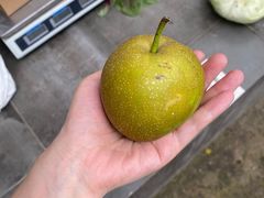 -美家乐农庄·露营·团建(大治路店)