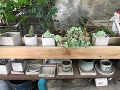 -懒鱼时光馆(沙坪坝店)