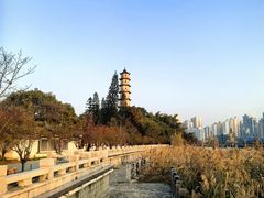 -江心屿景区