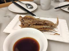 -华盛丰温州大排档(东三环南路店)