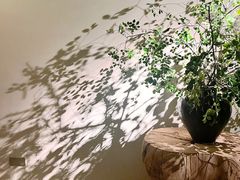 -隐溪茶馆(静安寺店)