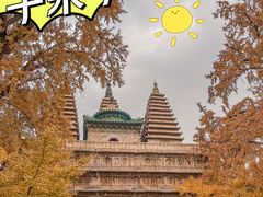 -北京石刻艺术博物馆(五塔寺)