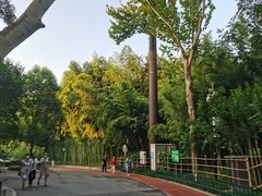 -西安市长乐公园
