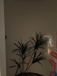 点击看大图 -栖SPA·ONDA ·海菲秀·皑皑科技美肤中心