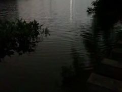 -重庆彩云湖湿地公园