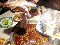 -蜀滋香鲜鱼美蛙火锅(339店)