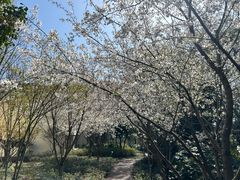 -上海市保健医疗中心