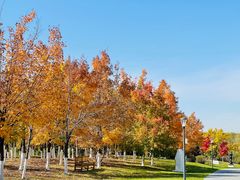 -长春世界雕塑园冰雪艺术天地