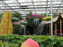 -兰陵国家农业公园