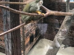 -杭州海底世界