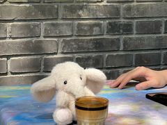 -三忘湖 SWANSEEN(柳荫公园店)