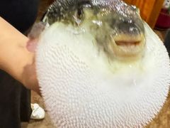 -天正河鲀·河豚亭(大连店)