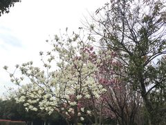 -苏州青少年科技馆