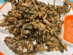 -向外鱼乐·土菜·虹鳟鱼