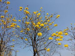 -中国移动南方基地