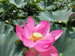 -南戴河国际娱乐中心