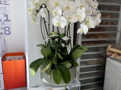 -光作面包Voila Lumiere(中山店)