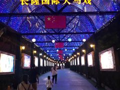 -广州长隆国际大马戏