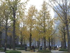 -百林公园-两江幸福广场