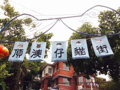 -猫咪博物馆(顶澳仔猫街店)