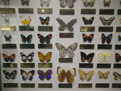 -上海昆虫博物馆