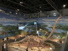 -自贡恐龙博物馆