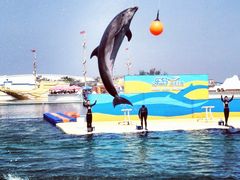 -秦皇岛乐岛海洋王国