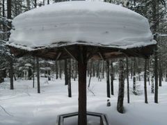 -峡谷浮石林景区