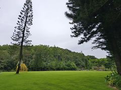 -深圳仙湖植物园